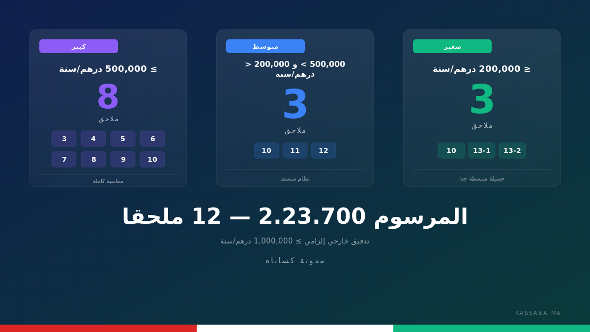 الملاحق التنظيمية الـ 12 للمرسوم 2.23.700، مجمَّعة حسب الشريحة (صغيرة، متوسطة، كبيرة)