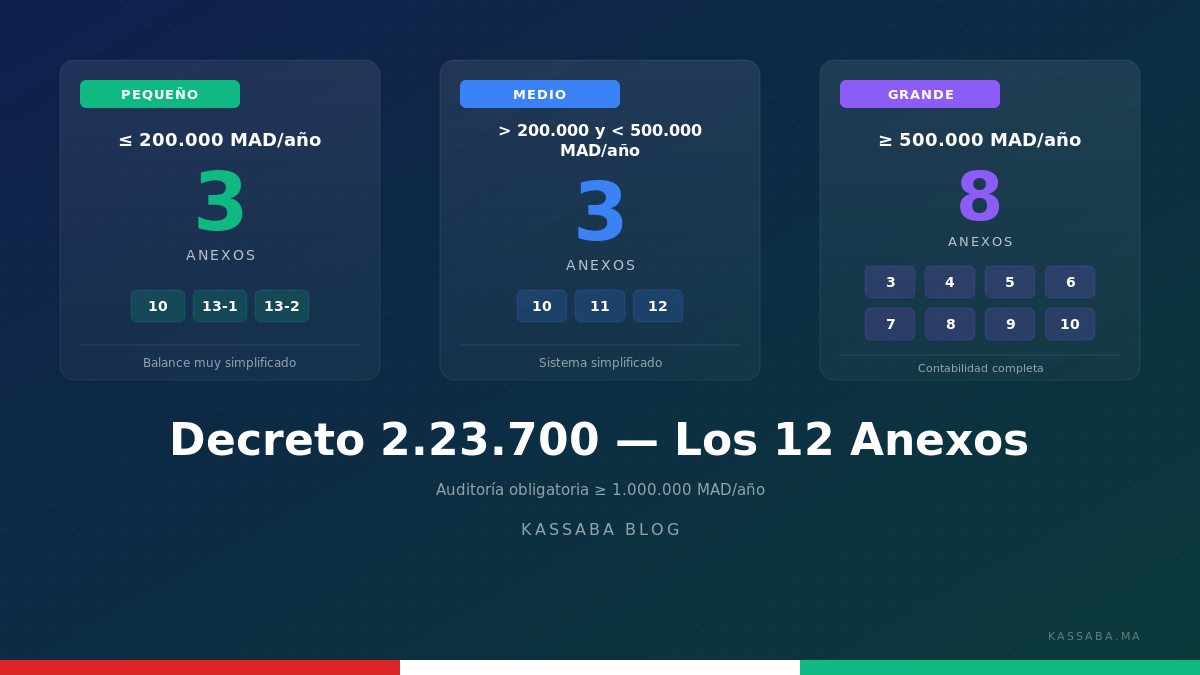 Los 12 anexos regulatorios del Décret 2.23.700, agrupados por tramo (Pequeño, Mediano, Grande)