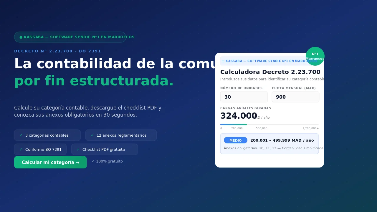 Calculadora Decreto 2.23.700: identifique su categoría contable (Pequeño, Medio o Grande) y anexos obligatorios según BO No. 7391